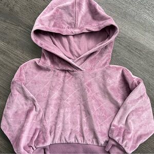 2T Nike Pink Hooded Sweatshirt